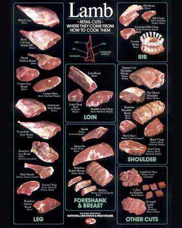 lamb