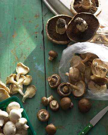 mushroom