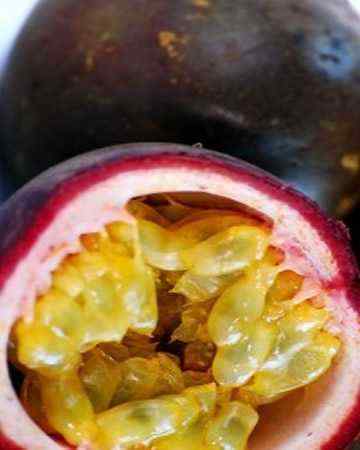 passionfruit