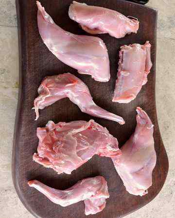 rabbit3