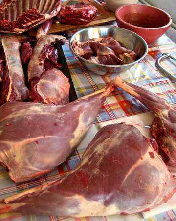venison2