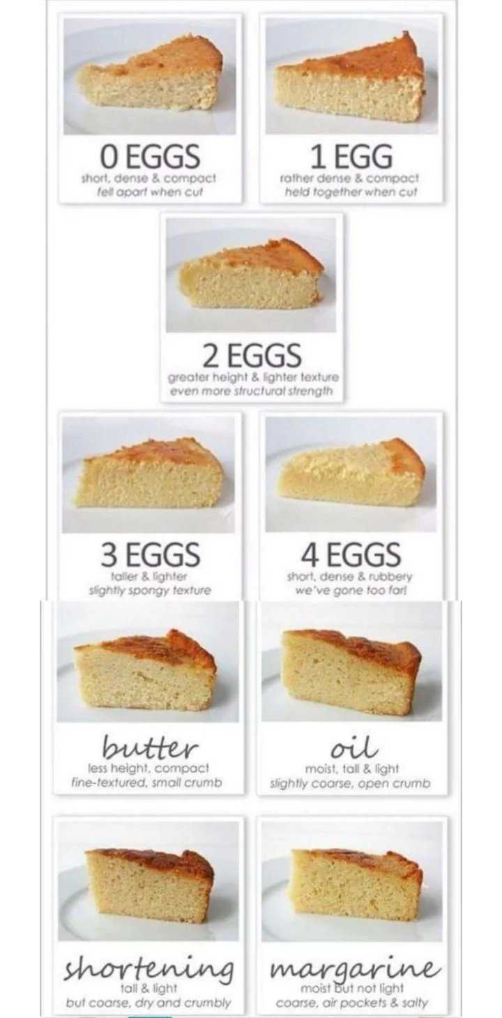bakingguidecakes