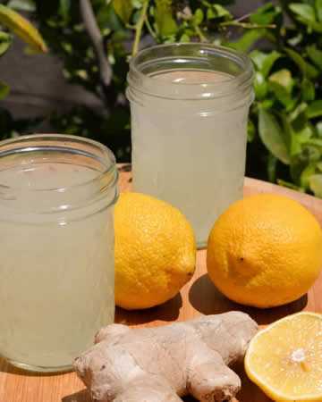 gambian-gingerbeer