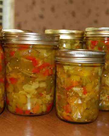 american-pennsylvaniadutch-chowchow