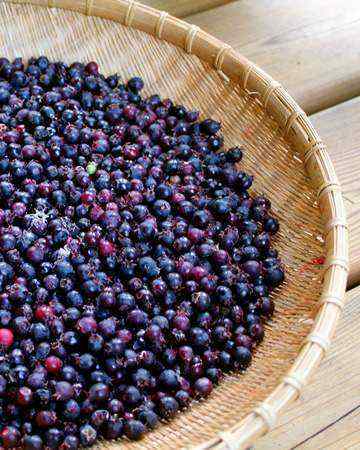 canadian-aboriginal-saskatoonberrysnack