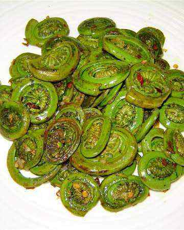 canadian-newbrunswick-fiddleheadsaute