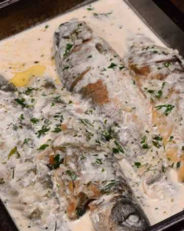 luxembourgish-roastedtroutrieslingsauce