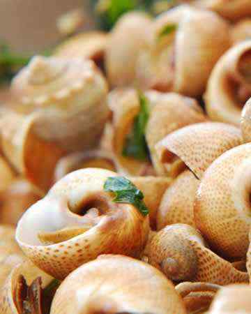 french-escargotsbourguignonne