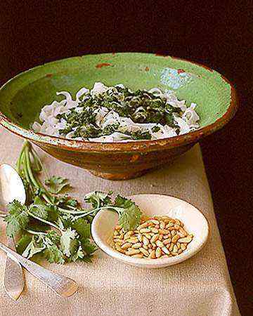 cilantropesto