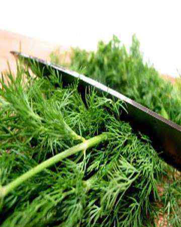 dill