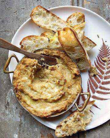 fennelparmesandip