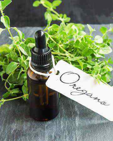 oreganooil
