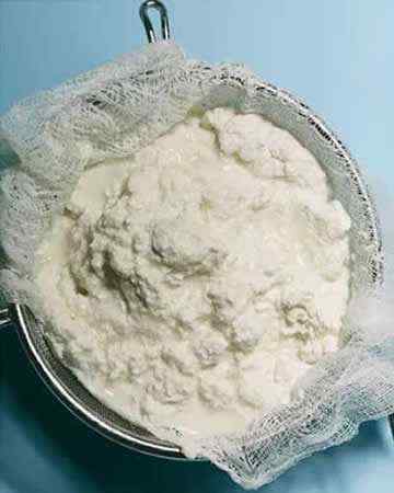 freshricottacheese