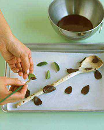 chocolatemintleaves