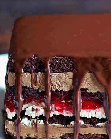 chocolateraspberryterrine