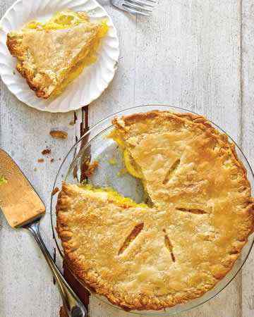 shakerlemonpie