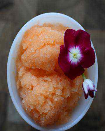 cantaloupesorbet