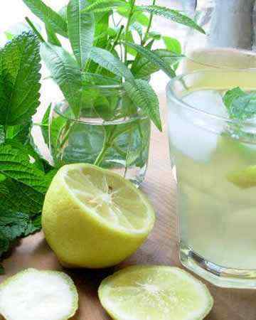 lemonbalmsimplesyrup