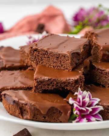 coconutflourbrownies2