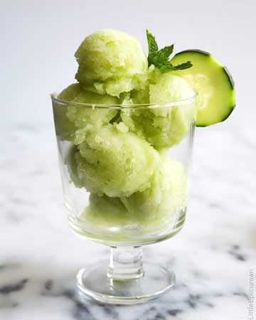 cucumbersorbet