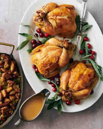 cornishhenscranberrystuffingms