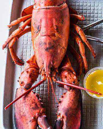 steamedlobster