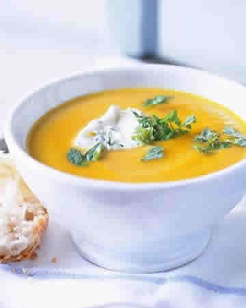 vegetablesoupsoupmaker