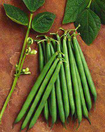 greenbean