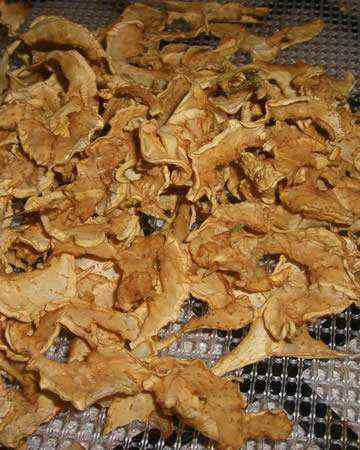 turnipchips